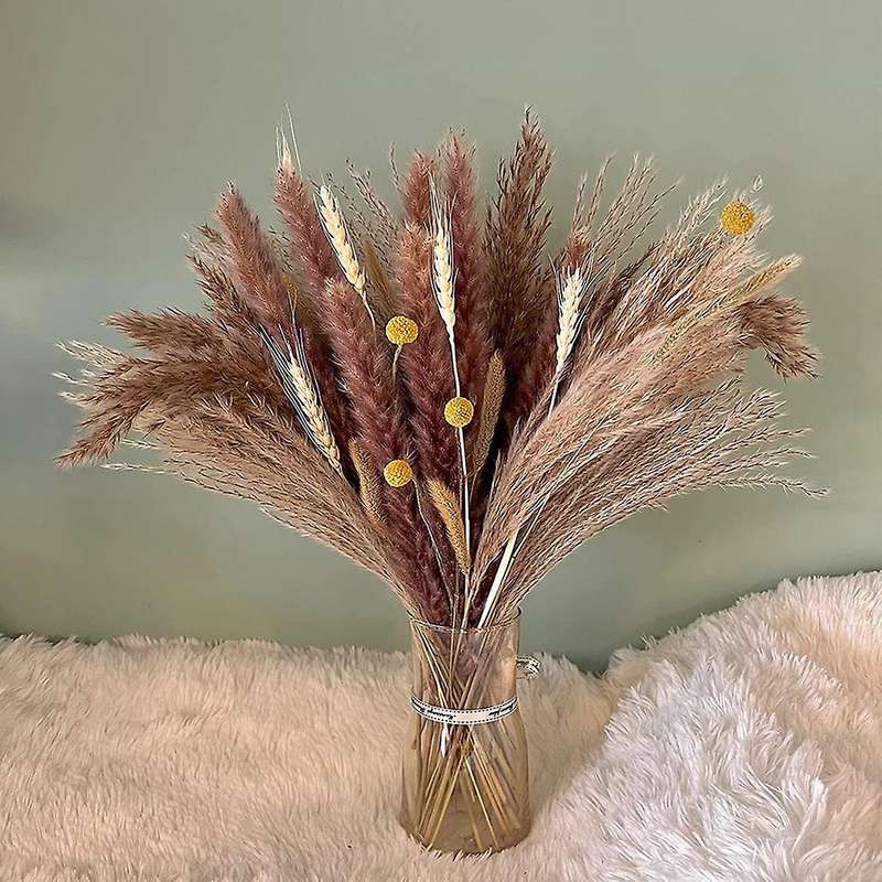 60pcs Natural Pampas Grass Dried 17.72 Inch Dried Flowers for Boho