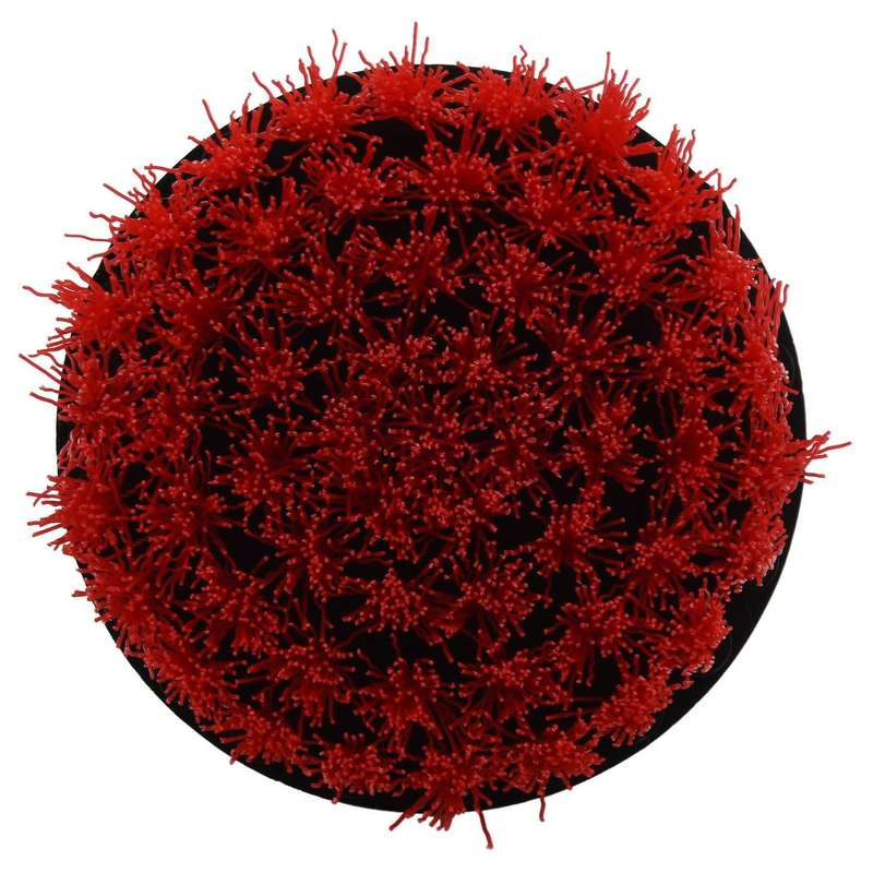 4in 4 Piece Soft, Medium and Stiff Scrubbing Brush Drill Attachment