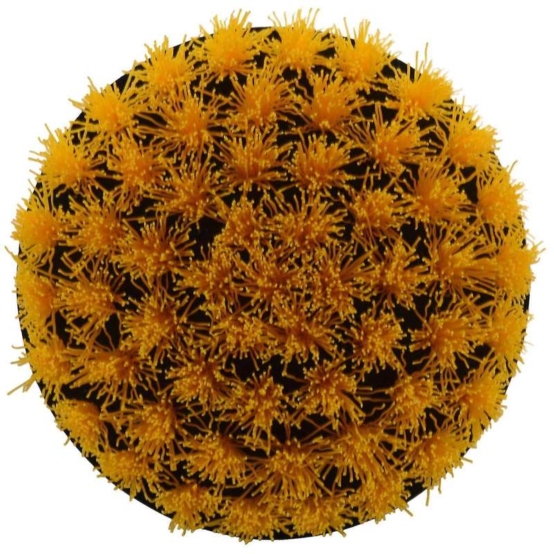 4in 4 Piece Soft, Medium and Stiff Scrubbing Brush Drill Attachment