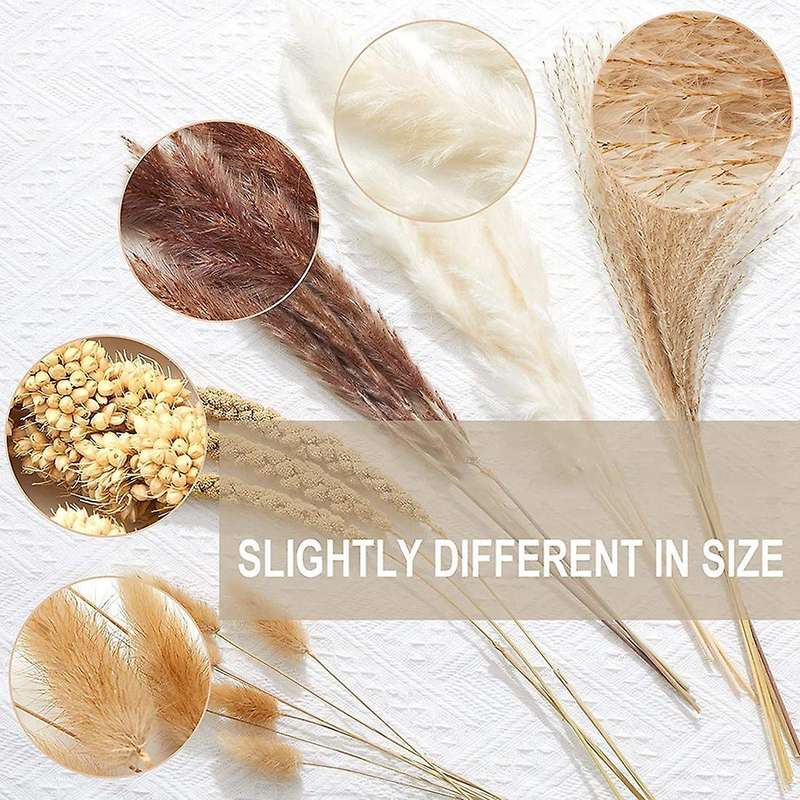 Dried Pampas Grass 70pcs 17.5 Inch Rabbit Tail Millet Bulrush Vase