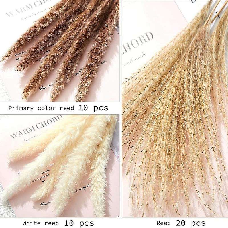 Dried Pampas Grass 70pcs 17.5 Inch Rabbit Tail Millet Bulrush Vase