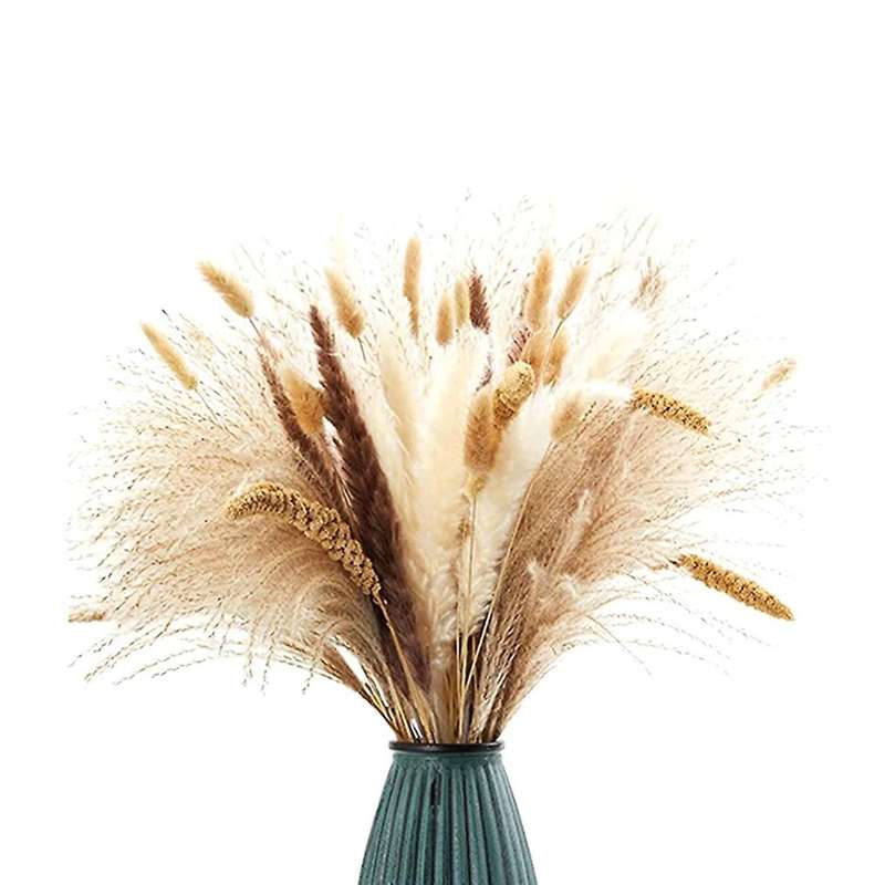 Dried Pampas Grass 70pcs 17.5 Inch Rabbit Tail Millet Bulrush Vase