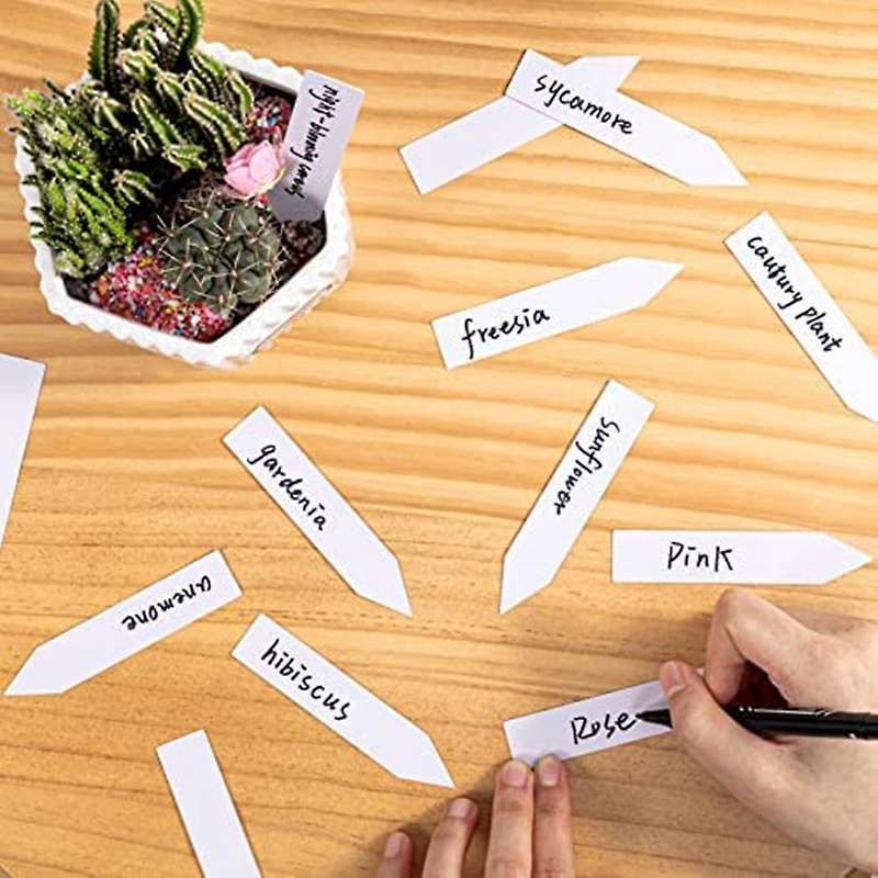 Plastic Garden Plant Labels Waterproof Houseplants Tags