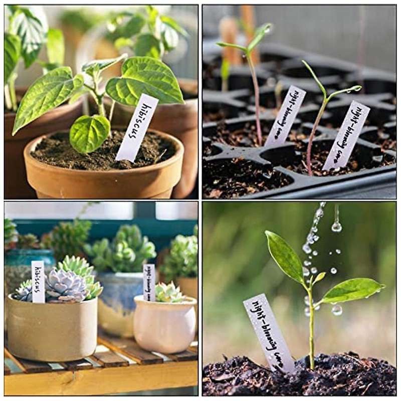Plastic Garden Plant Labels Waterproof Houseplants Tags