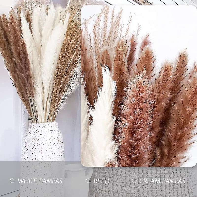 80pcs Natural Dried Pampas Grass, Bouquet for Home Decor Weedding