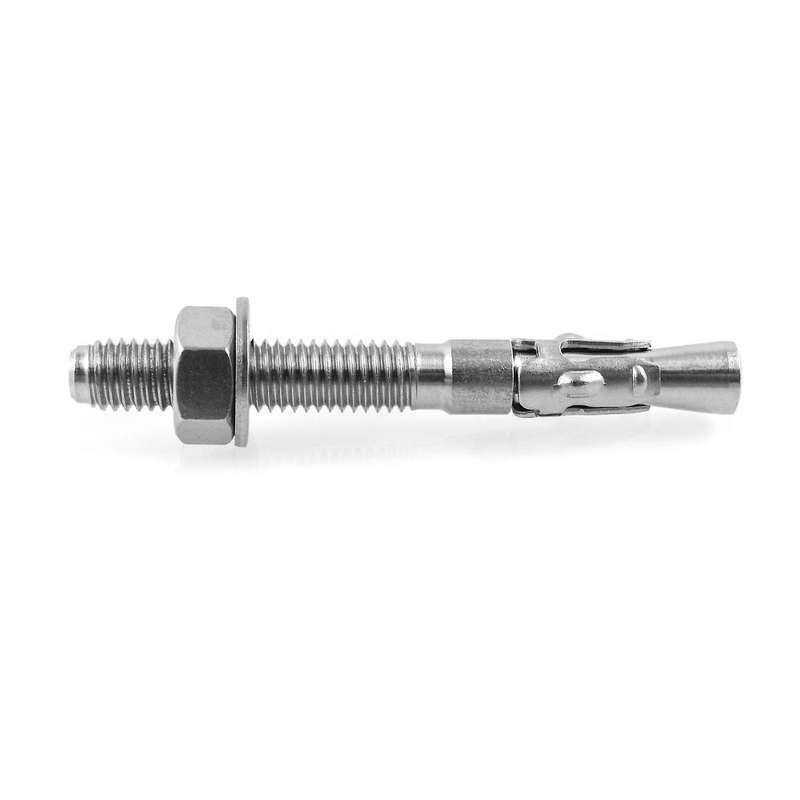 10 Pack 5/16 Inch X 2-3/4 Inch 316 Stainless Steel Wedge Anchor