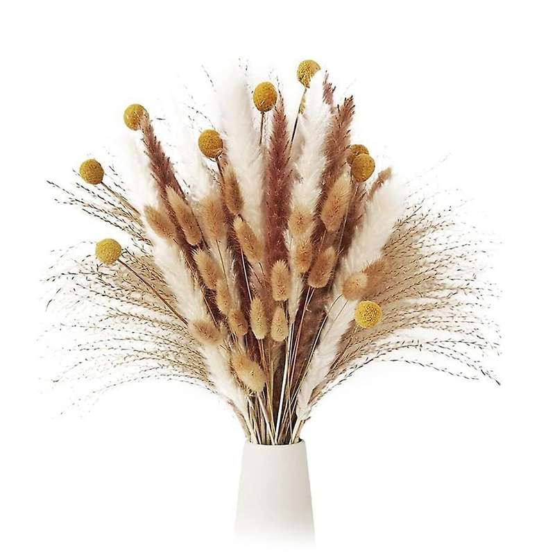 100pcs Pampas Grass,natural Dried Pampas Grass - Fluffy Stem Bouquet