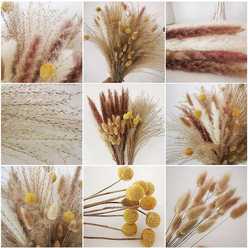 100pcs Pampas Grass,natural Dried Pampas Grass - Fluffy Stem Bouquet