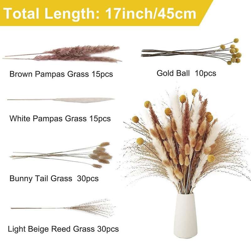 100pcs Pampas Grass,natural Dried Pampas Grass - Fluffy Stem Bouquet