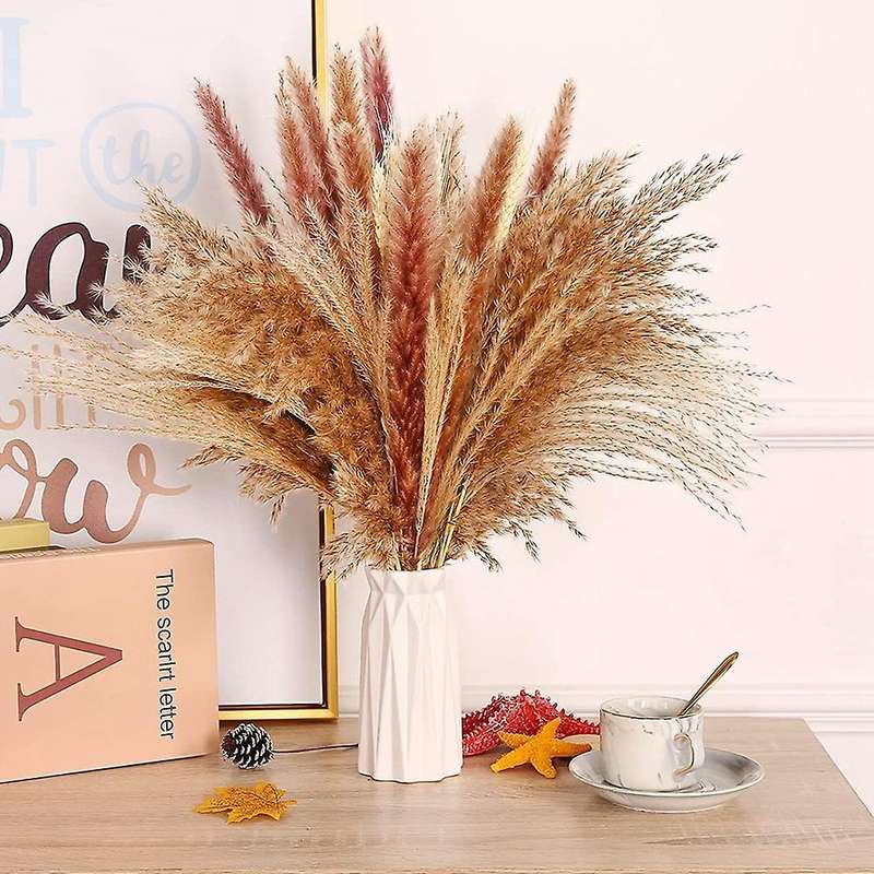 Pampas Grass Pampas Grass Decoration, for Flowers Arrangements