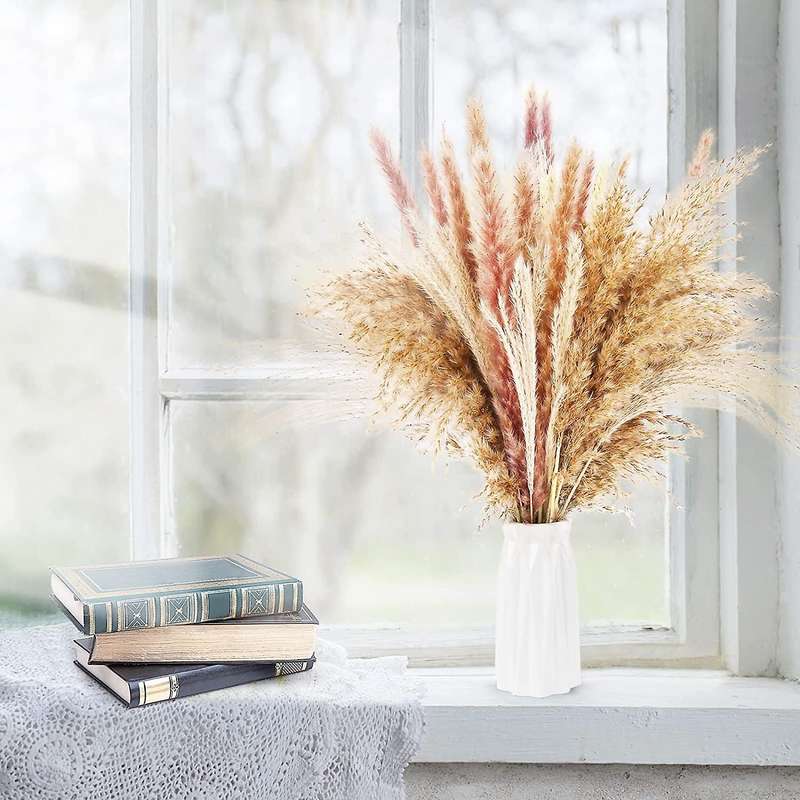 Pampas Grass Pampas Grass Decoration, for Flowers Arrangements