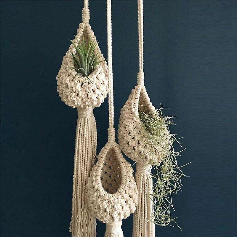 3x Tillandsia Hanging Basket Rope Holder Flower Home Decor (13cm)
