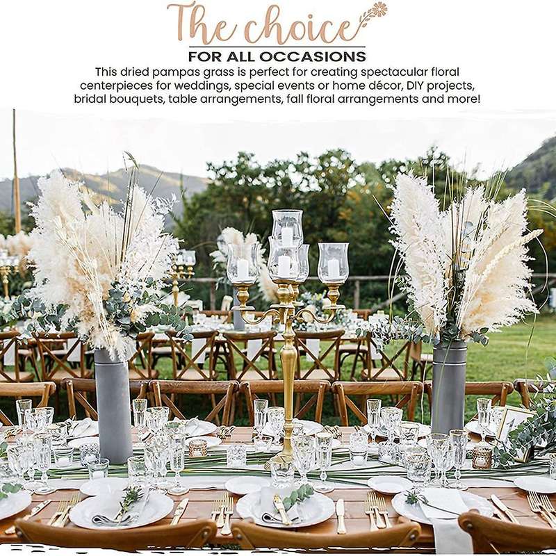 Natural Dried Pampas Grass - 85 Stems Assorted Dried Flowers 17inch