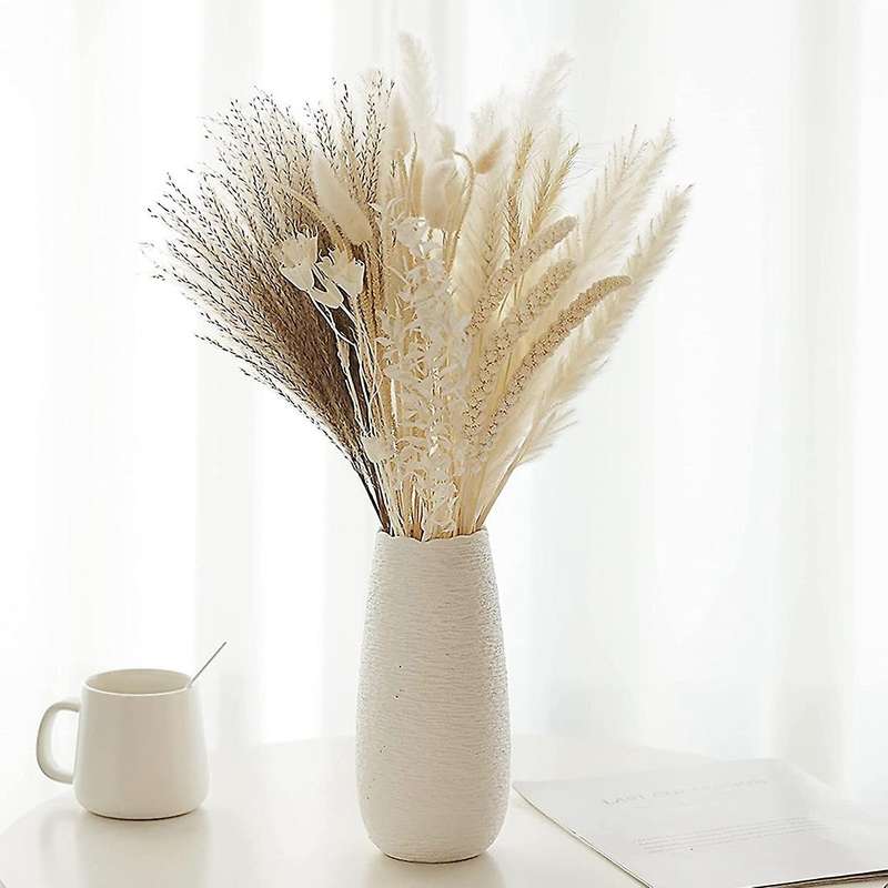Natural Dried Pampas Grass - 85 Stems Assorted Dried Flowers 17inch