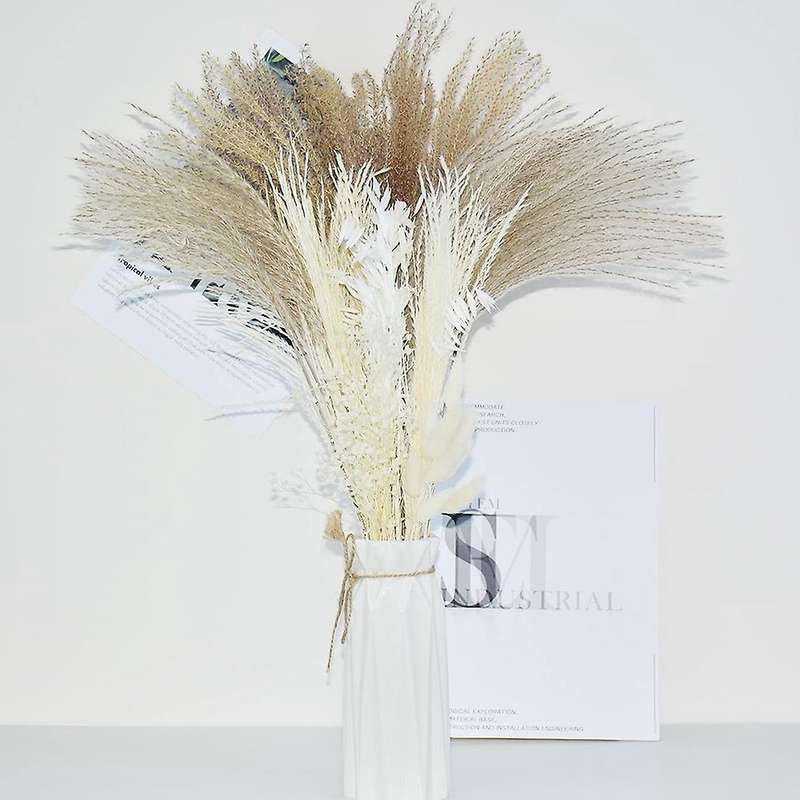 60pcs Natural Dried Pampas Grass Decor 17inch-brown Pampas for Decor