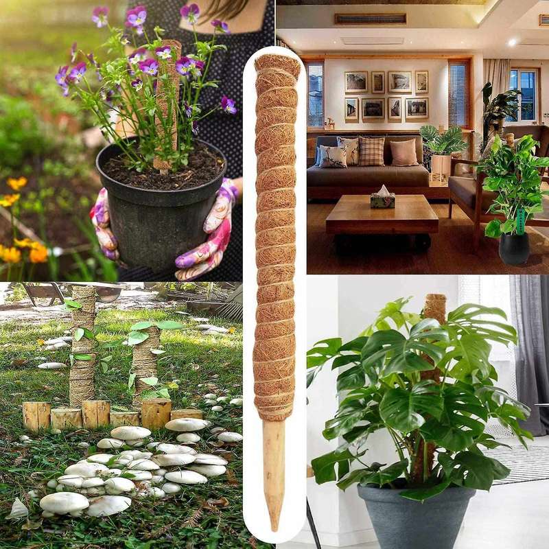 Moss Poles for Climbing Plant Coir with 20m Garden Twist Tie, 4 Pack