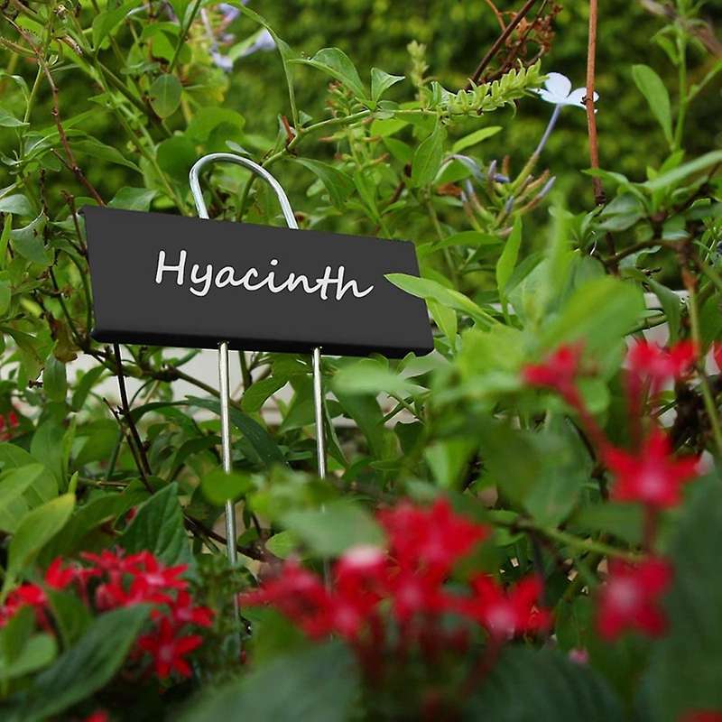12 Pcs Metal Plant Labels Reusable Nursery Tags for Flower (black)