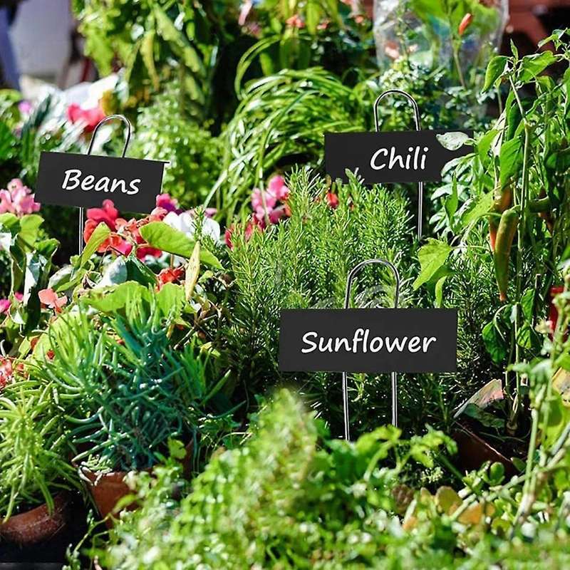 12 Pcs Metal Plant Labels Reusable Nursery Tags for Flower (black)