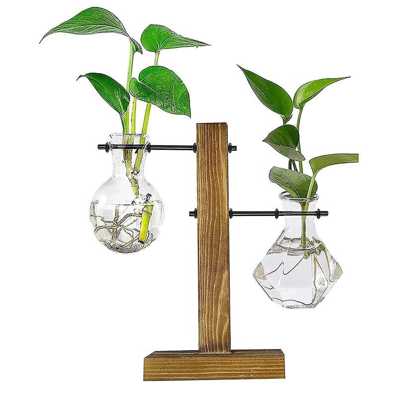 Plant Terrarium with Wooden Stand,desktop Water Planting Glass Vase
