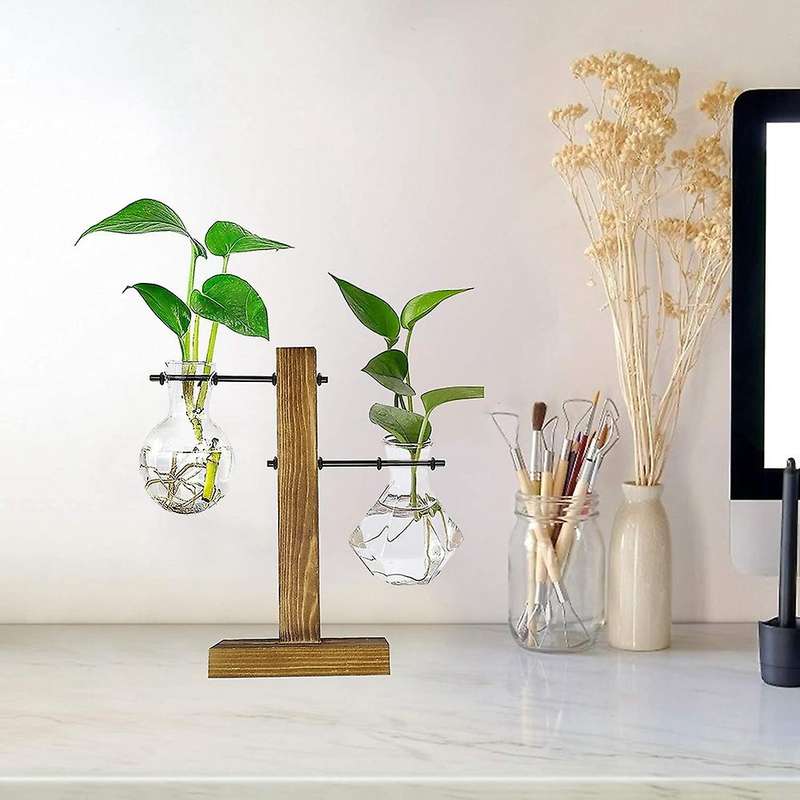 Plant Terrarium with Wooden Stand,desktop Water Planting Glass Vase