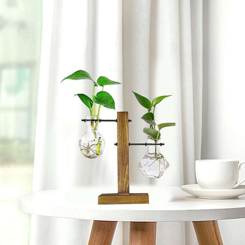 Plant Terrarium with Wooden Stand,desktop Water Planting Glass Vase