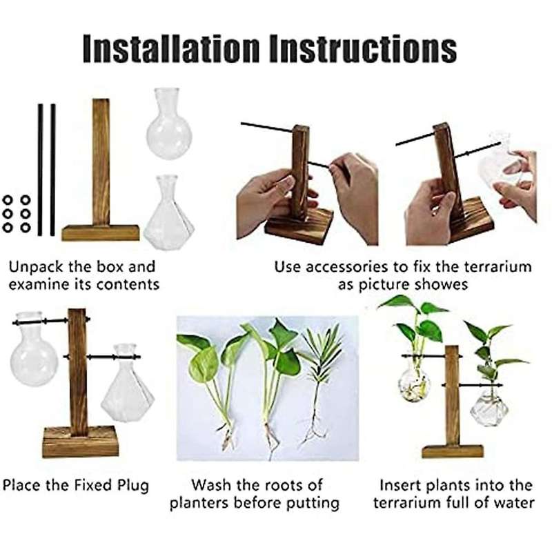 Plant Terrarium with Wooden Stand,desktop Water Planting Glass Vase