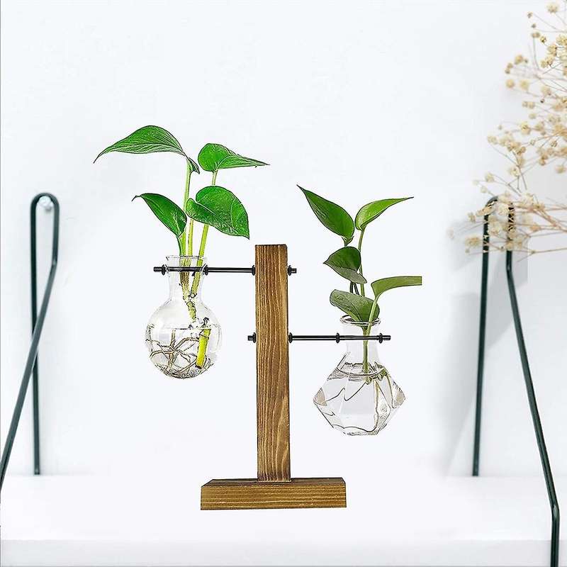 Plant Terrarium with Wooden Stand,desktop Water Planting Glass Vase