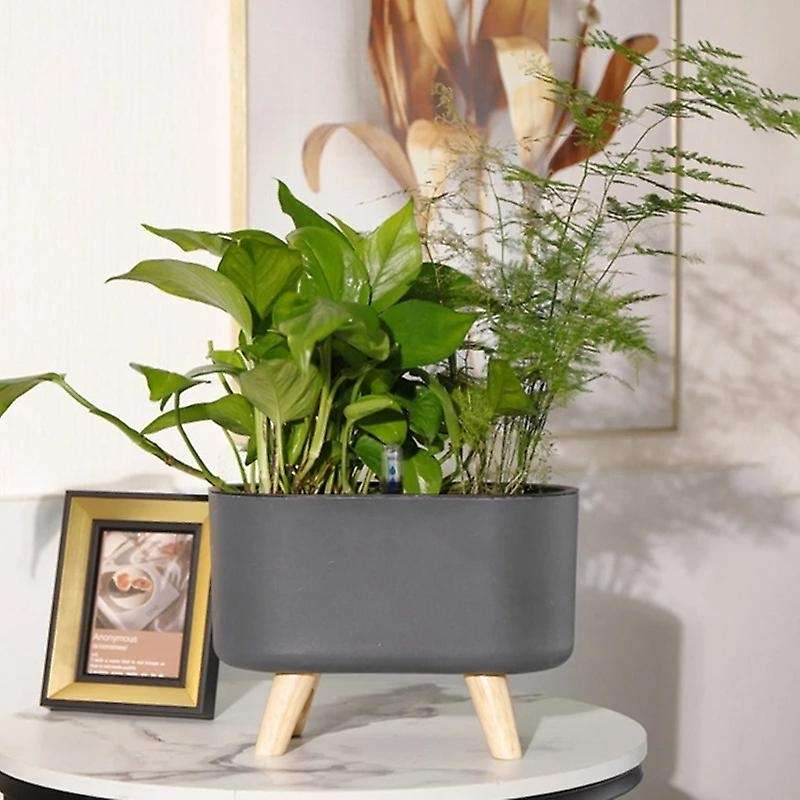Automatic Self-watering Plastic Plant Pot with Water Level-1
