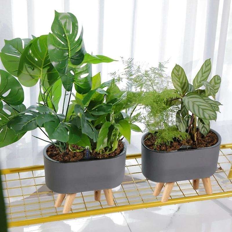Automatic Self-watering Plastic Plant Pot with Water Level-1