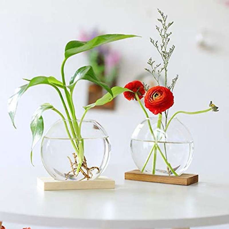 Glass Vase with Wood Stand for Hydroponic Plants Home Office Decor 1