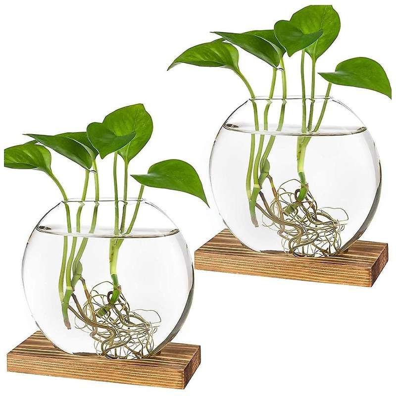 Glass Vase with Wood Stand for Hydroponic Plants Home Office Decor 1