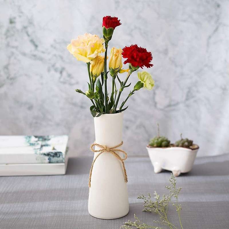 White Ceramic Vase Minimalist Style Home Decoration Vase (a Style)