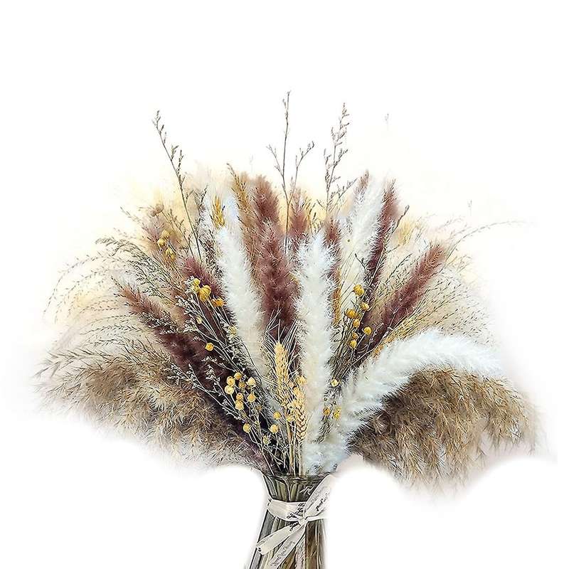 Natural Pampas Grass Decor for Home Decor Wedding Flower Arrangements