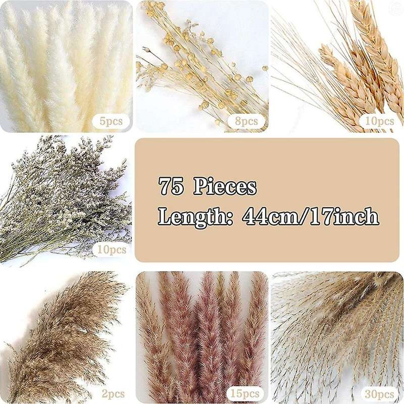 Natural Pampas Grass Decor for Home Decor Wedding Flower Arrangements