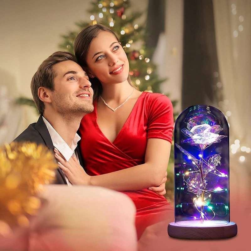 Eternal Rose Under Bell Beast Rose with Fairy String Lights Gift B