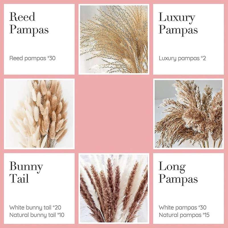 107 Pcs Natural Dried Pampas Grass Reed Grass Plants Branches Fluffy