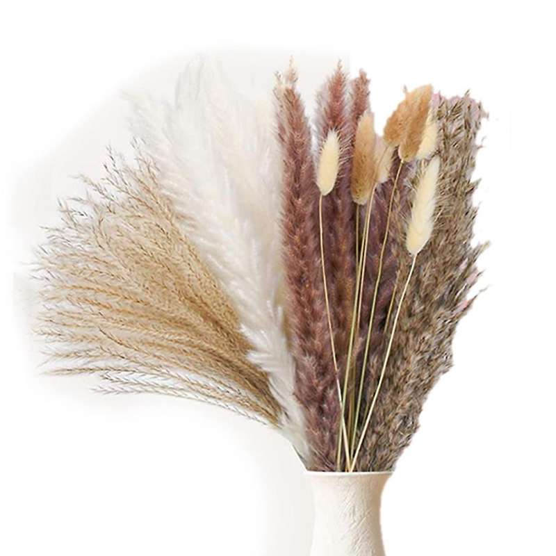107 Pcs Natural Dried Pampas Grass Reed Grass Plants Branches Fluffy