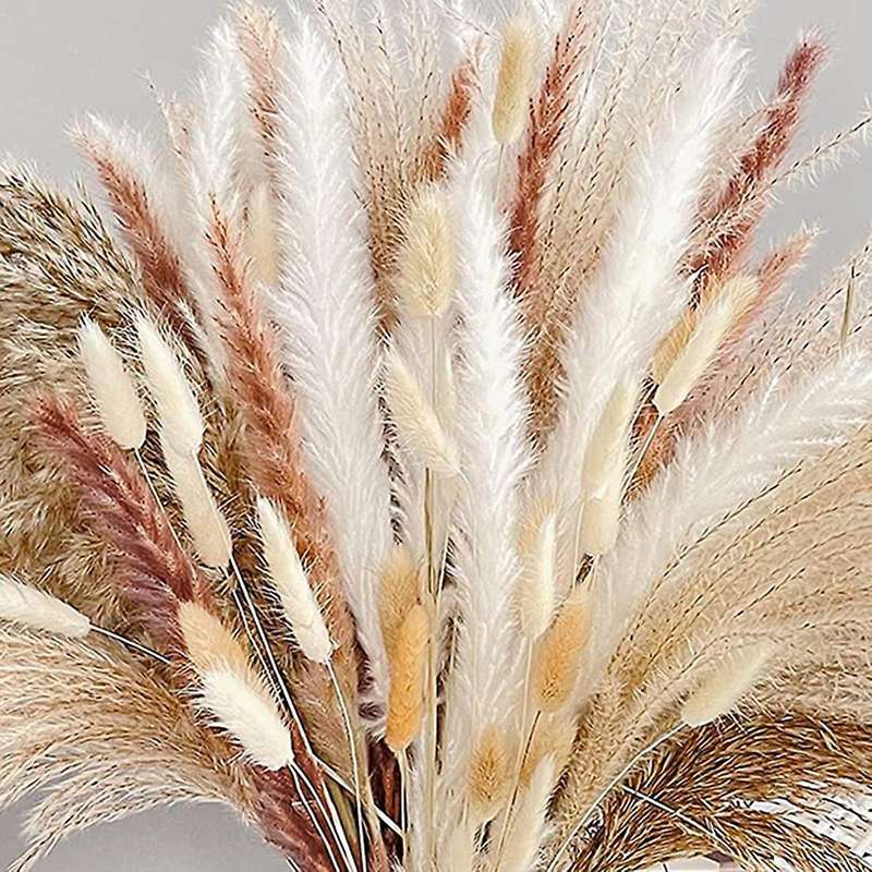 107 Pcs Natural Dried Pampas Grass Reed Grass Plants Branches Fluffy