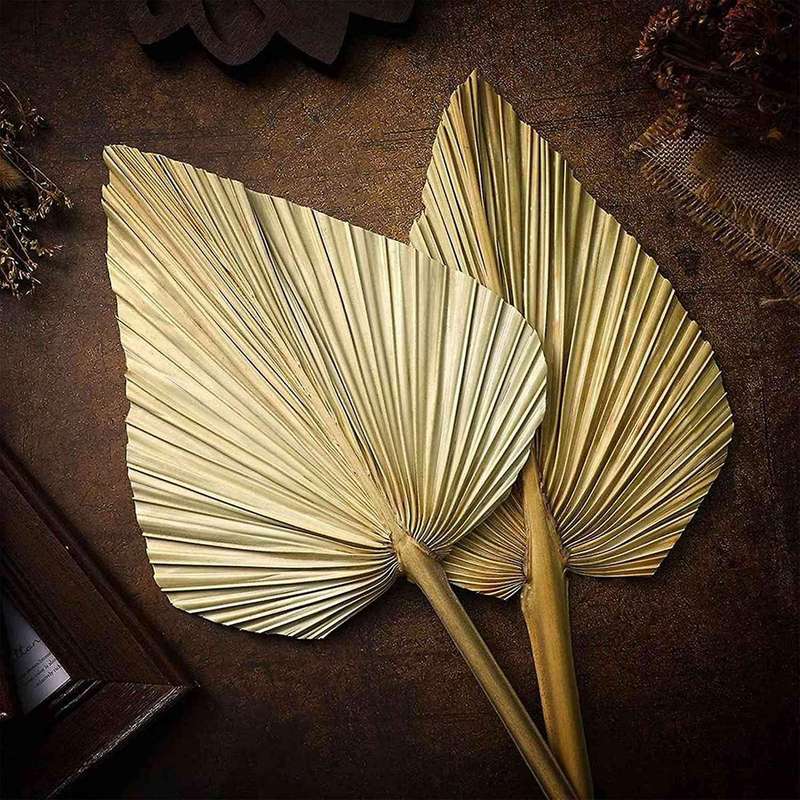 8pcs Dried Palm Leaves Dried Palm Fans Bohemian Tropical Palm Leaves
