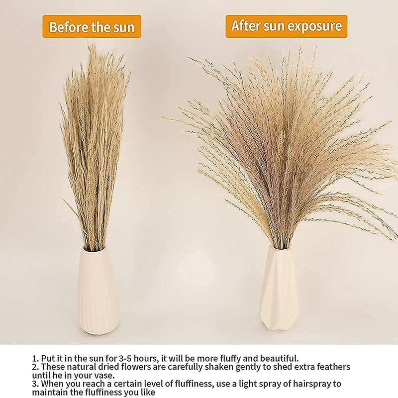 65pcs Pampas Grass Ornaments,reed Hay & Rabbit Tail Dried Flowers