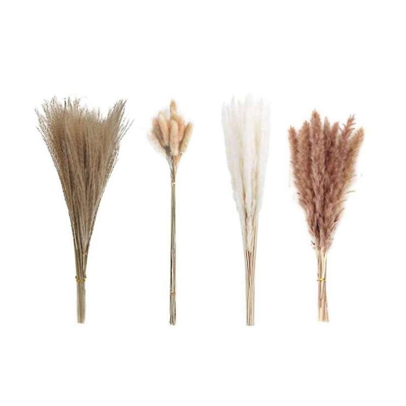 65pcs Pampas Grass Ornaments,reed Hay & Rabbit Tail Dried Flowers