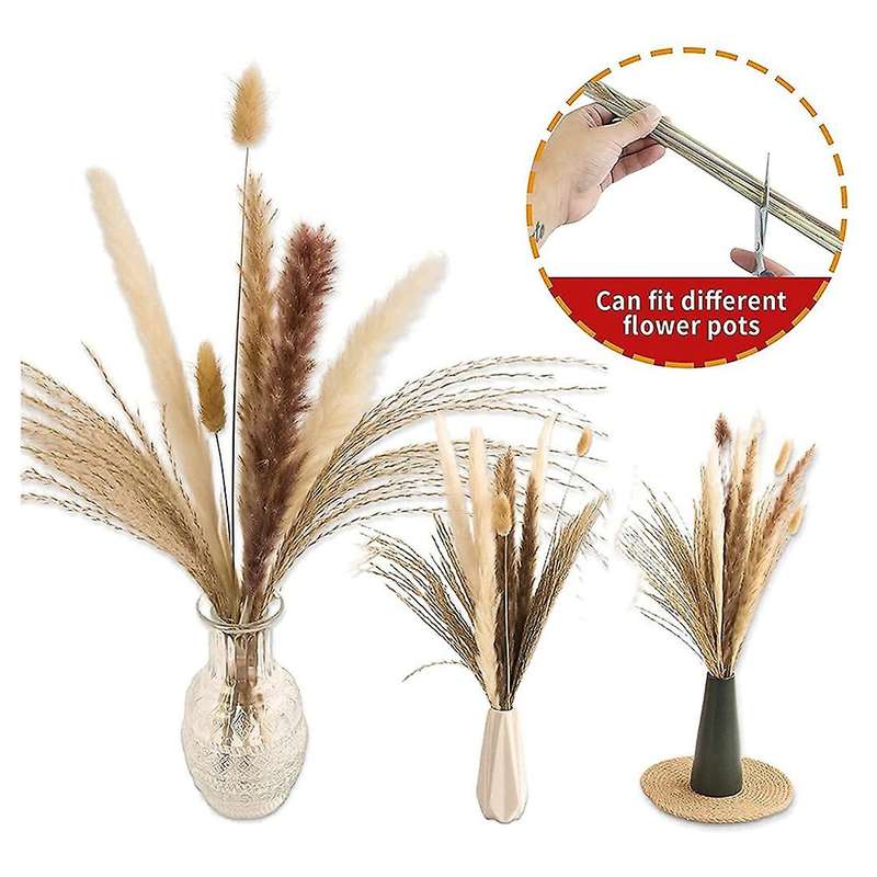 65pcs Pampas Grass Ornaments,reed Hay & Rabbit Tail Dried Flowers