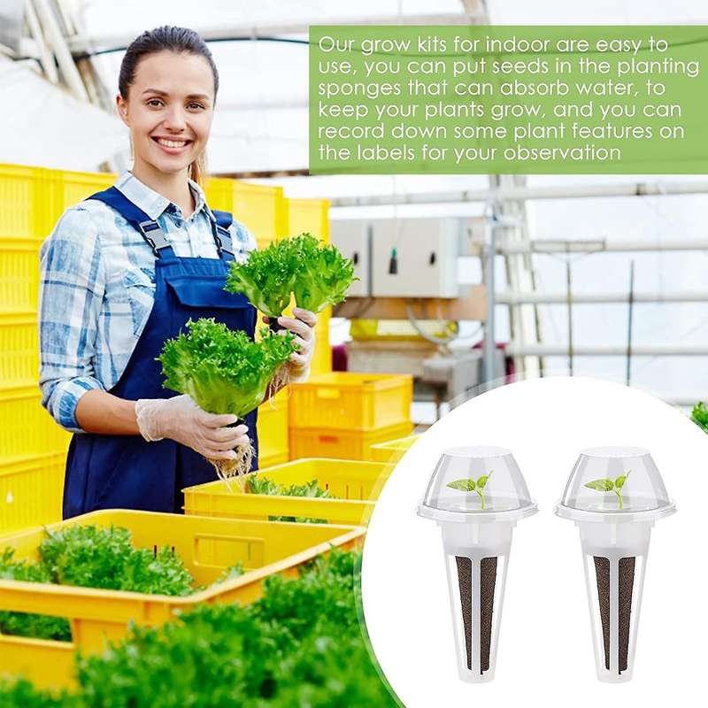 Plant Pod Kit Including 30 Pieces Plant Grow Sponges 30 Pieces Labels