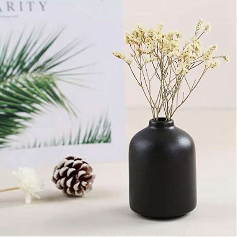 Ceramic Vase for Home Decor, Dried Flower Vase,living Room Decoration