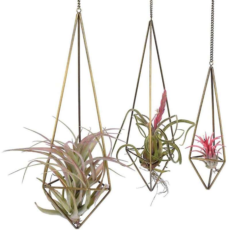 Sets Of 3 Geometric Air Plant Holder Bronze,himmeli for Tillandsia