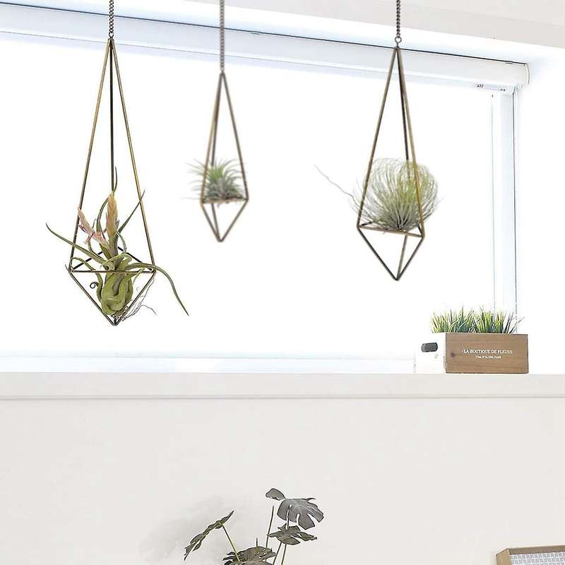 Sets Of 3 Geometric Air Plant Holder Bronze,himmeli for Tillandsia