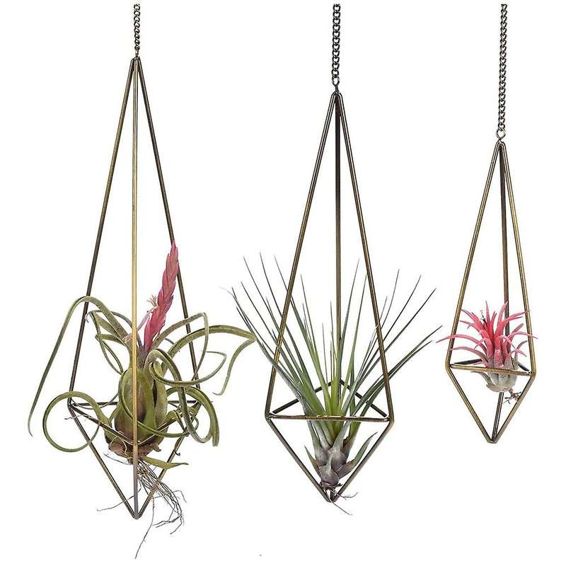 Sets Of 3 Geometric Air Plant Holder Bronze,himmeli for Tillandsia