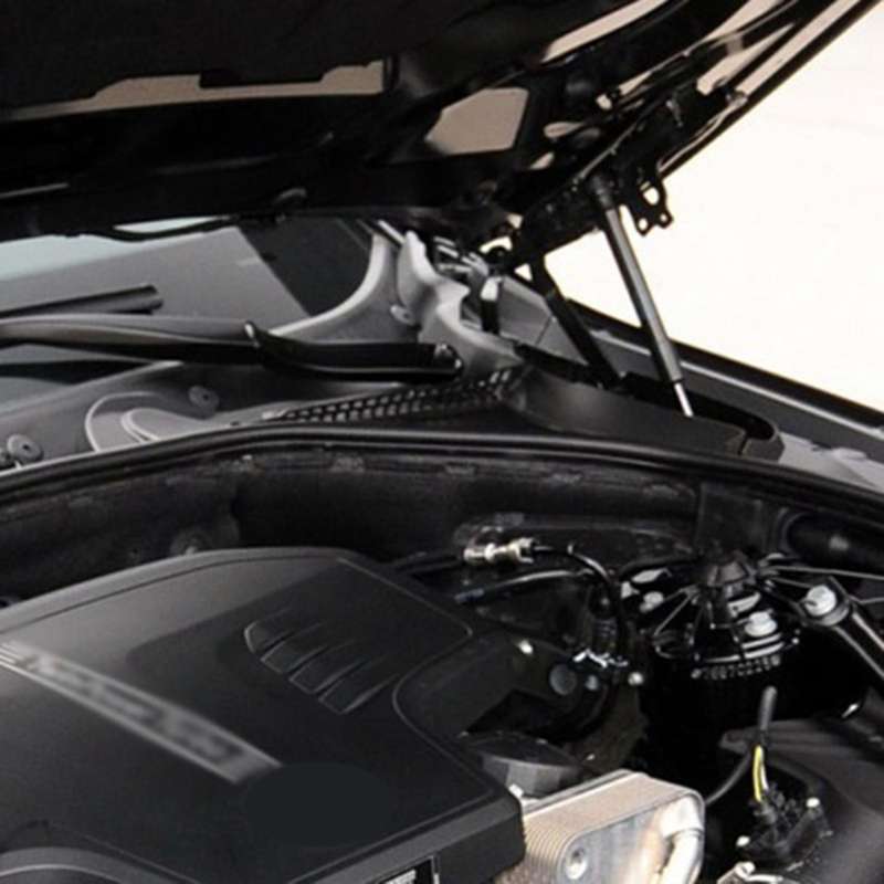 Hood Lift Support for Bmw 520i 528i 535d 535i 550i 640i 650i 2011-15