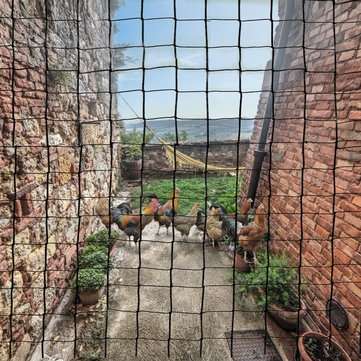 3m Wide Series Bird Vegetables Pests Multi-purpose Net (SIZE: #9)