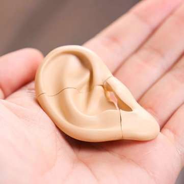 4D Vision Human Ear Anatomy Model Anatomical Learn Study Equipment